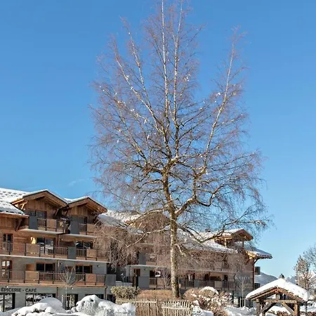 Mgm & Residences - Les D'alexane Samoens
